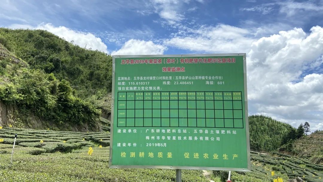 富硒茶品牌建设（富硒茶园）-硒宝网