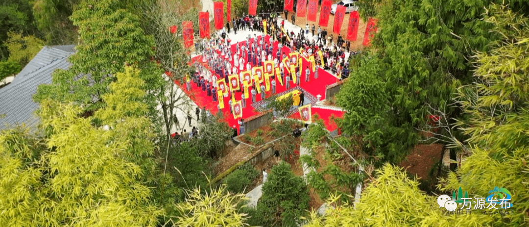 水城富硒茶产量(水城富硒茶价格)-硒宝网