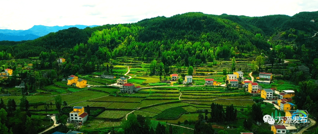 水城富硒茶产量(水城富硒茶价格)-硒宝网