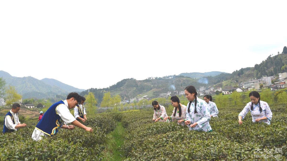 紫阳富硒茶环境（紫阳富硒茶文化）-硒宝网