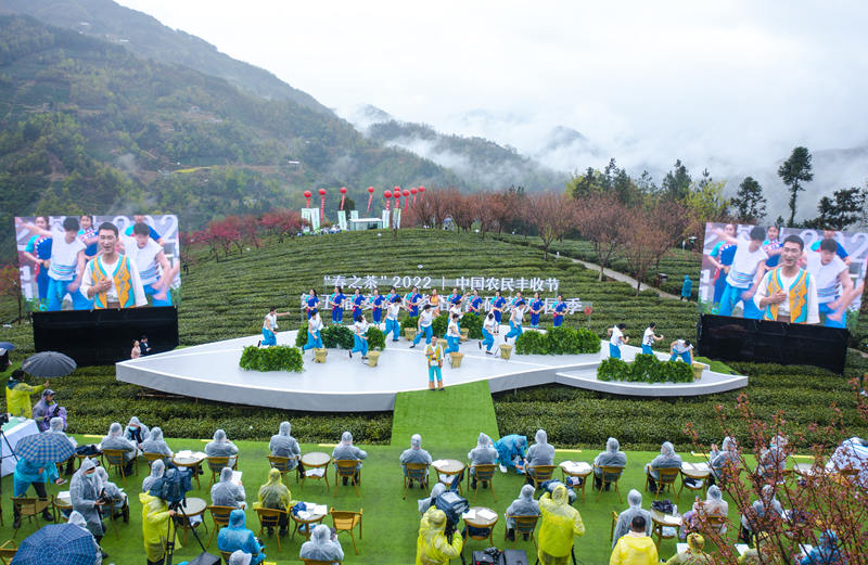 紫阳富硒茶环境（紫阳富硒茶核心产区）-硒宝网