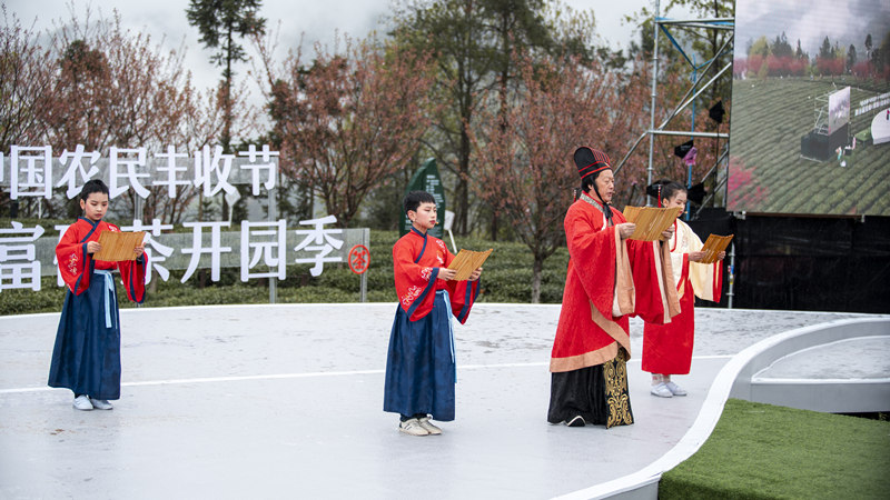 紫阳富硒茶环境（紫阳富硒茶核心产区）-硒宝网