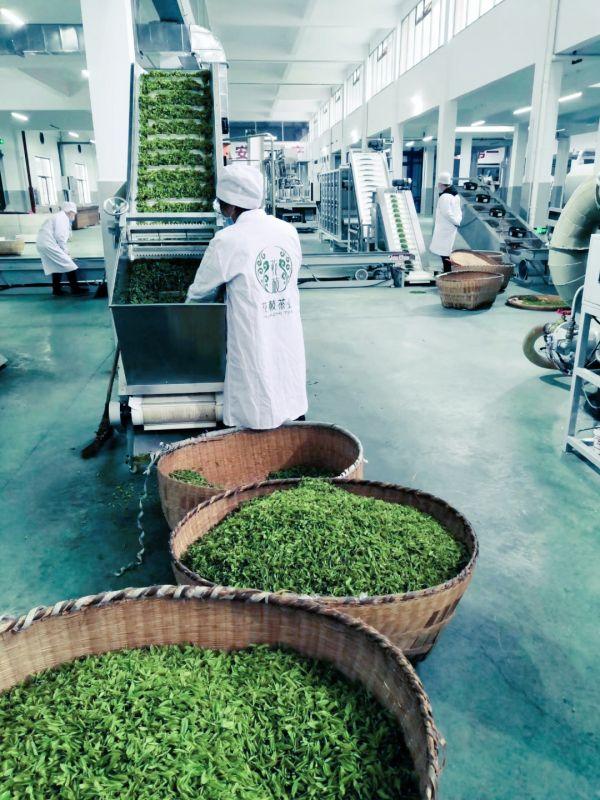 恩施富硒茶龙井(恩施富硒茶厂)-硒宝网