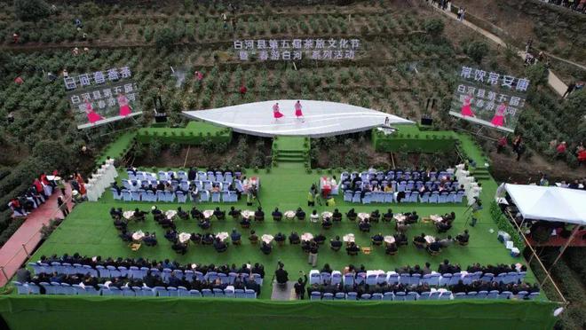 安康富硒茶央视（安康富硒茶多少钱一斤汗水晨雾）-硒宝网