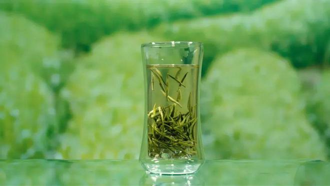 安康富硒茶央视（安康富硒茶多少钱一斤汗水晨雾）-硒宝网