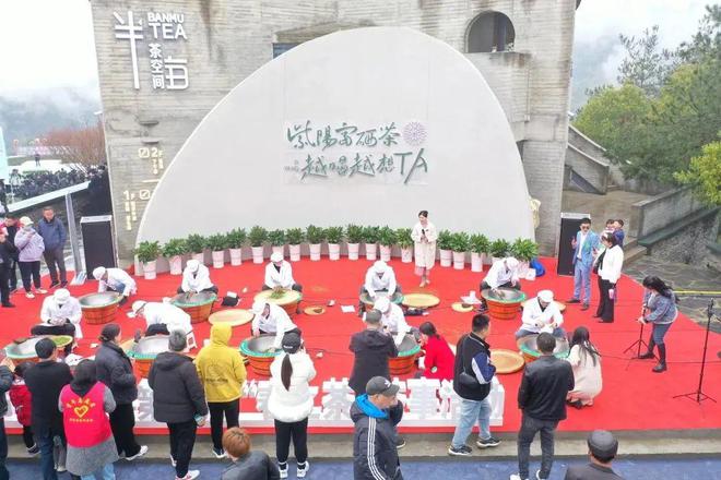 安康富硒茶央视（安康富硒茶多少钱一斤汗水晨雾）-硒宝网