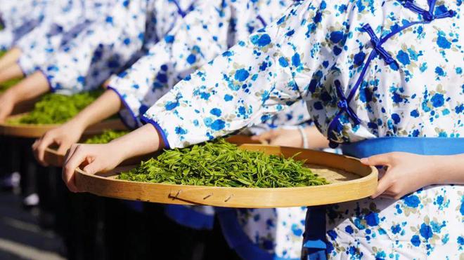 安康富硒茶央视（安康富硒茶多少钱一斤汗水晨雾）-硒宝网