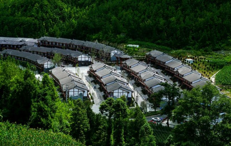 达州观察富硒茶（达州茶叶）-硒宝网