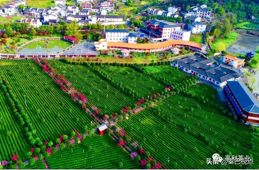 南昌富硒茶工厂(南昌硒谷)-硒宝网