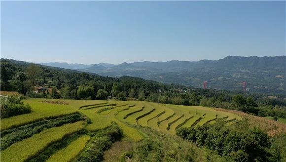 重庆富硒茶加工(重庆富硒小镇)-硒宝网