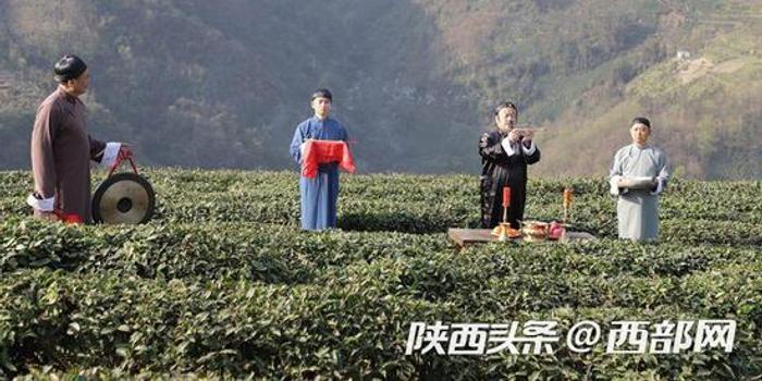 紫阳富硒茶陕西（紫阳富硒茶陕南特产价格）-硒宝网