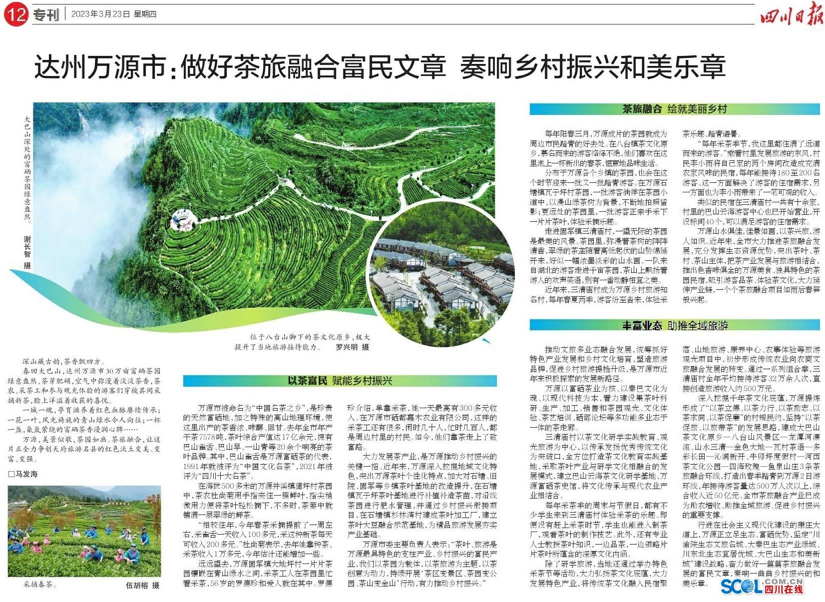 紫阳富硒茶辨别(紫阳富硒茶好坏辨别)-硒宝网