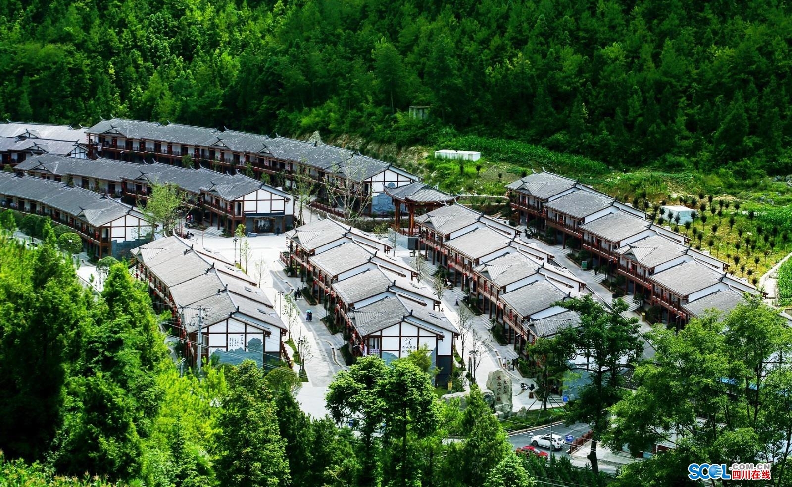 紫阳富硒茶辨别(紫阳富硒茶好坏辨别)-硒宝网