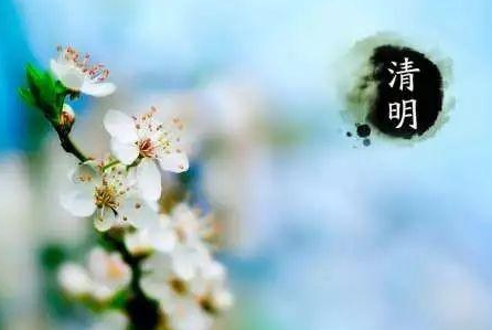 富硒清明茶功效（清明茶功效富硒吗）-硒宝网