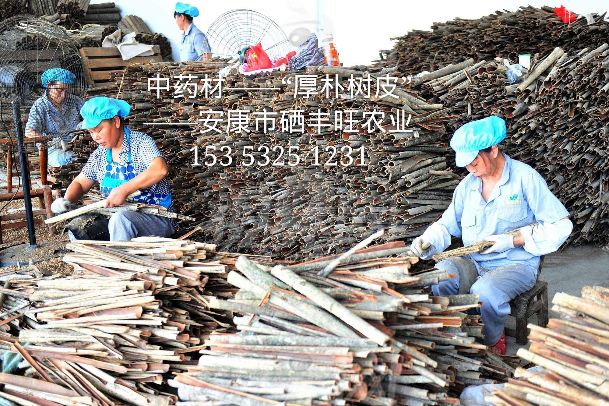 安康富硒茶品质（安康茶品质富硒好吗）-硒宝网