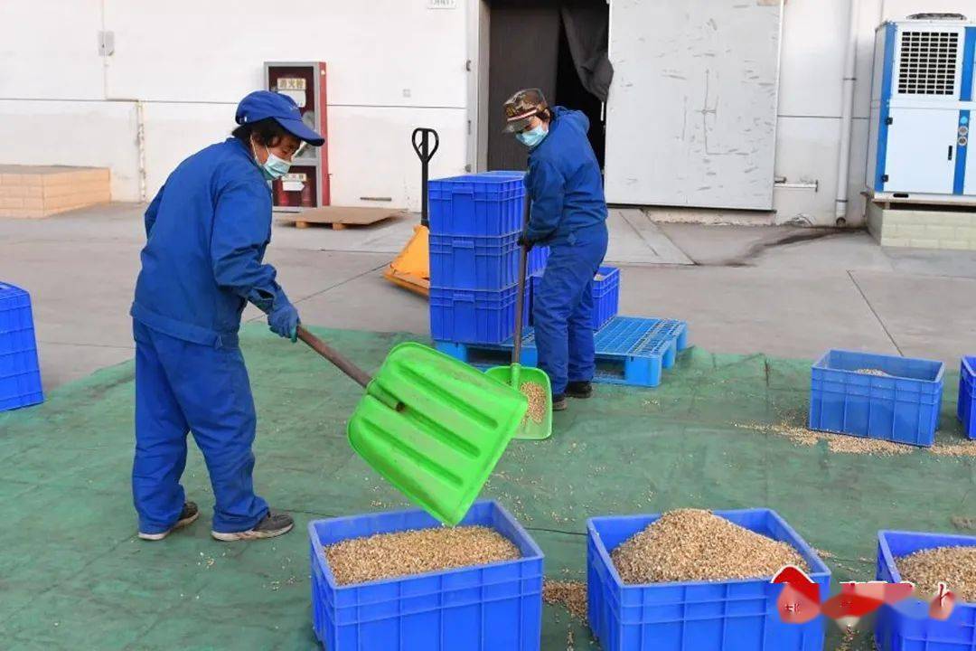 安康富硒茶品质（安康茶品质富硒好吗）-硒宝网