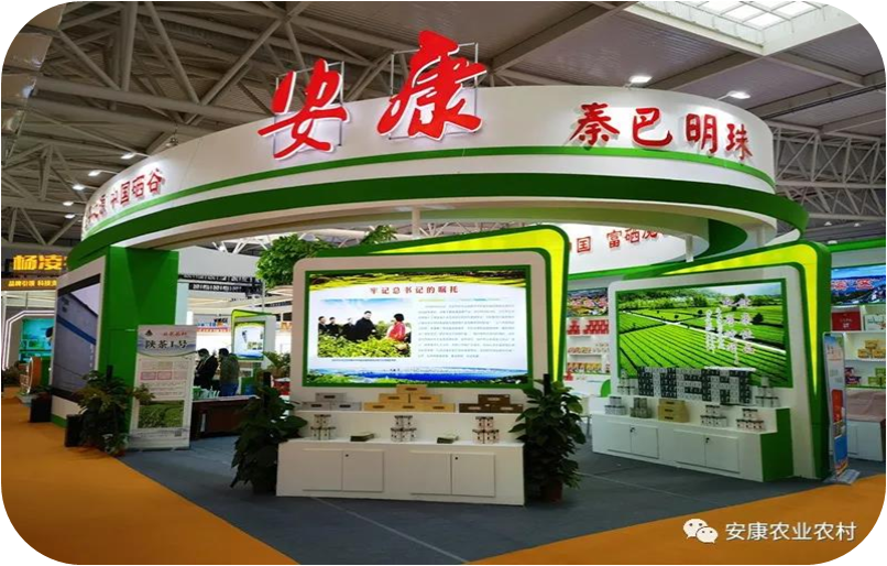 安康富硒茶采摘(安康富硒茶多少钱一斤汗水晨雾)-硒宝网