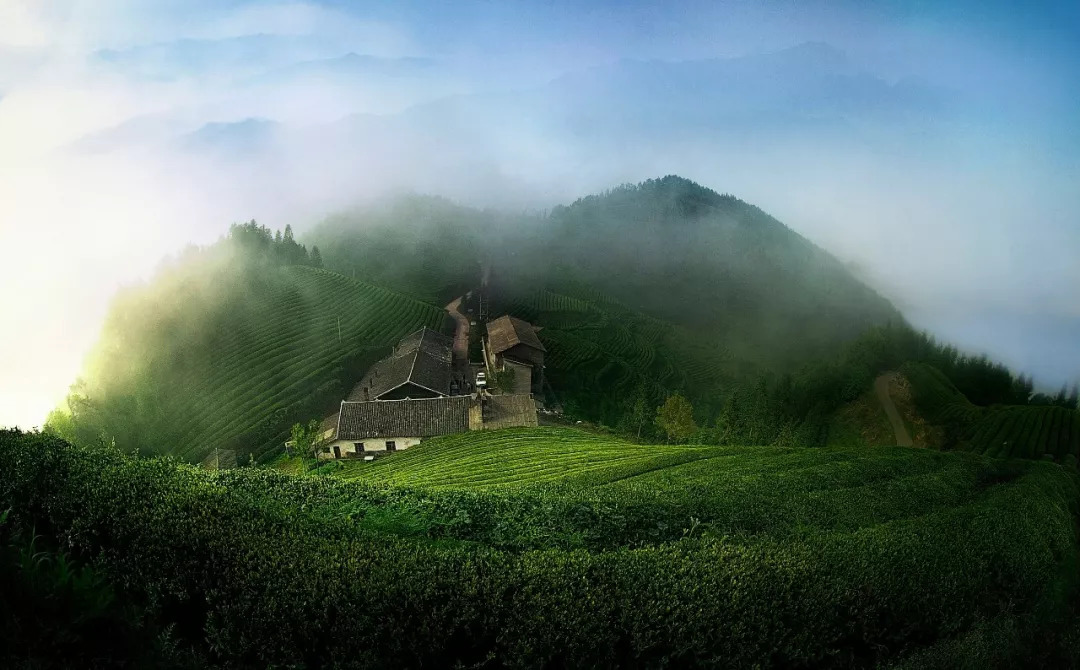 赞美恩施富硒茶(赞美茶恩施富硒茶的句子)-硒宝网