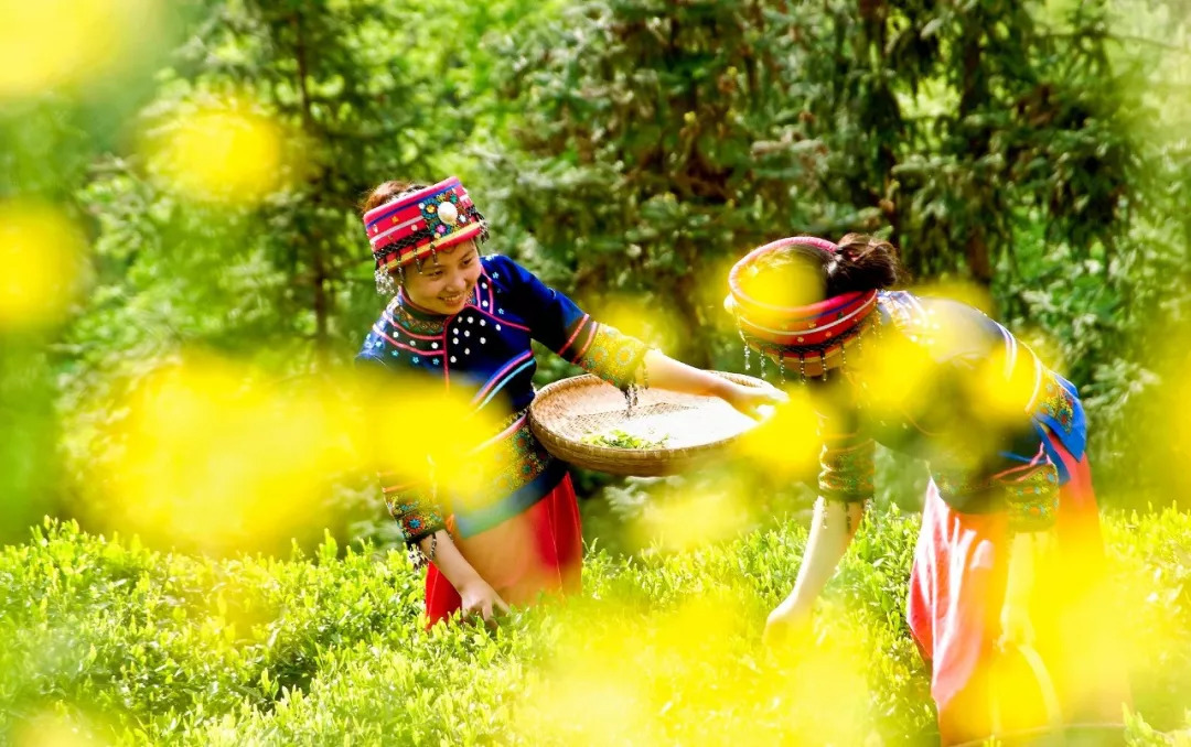 赞美恩施富硒茶(赞美茶恩施富硒茶的句子)-硒宝网