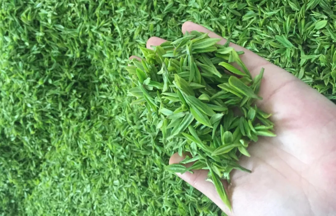 赞美恩施富硒茶(赞美茶恩施富硒茶的句子)-硒宝网