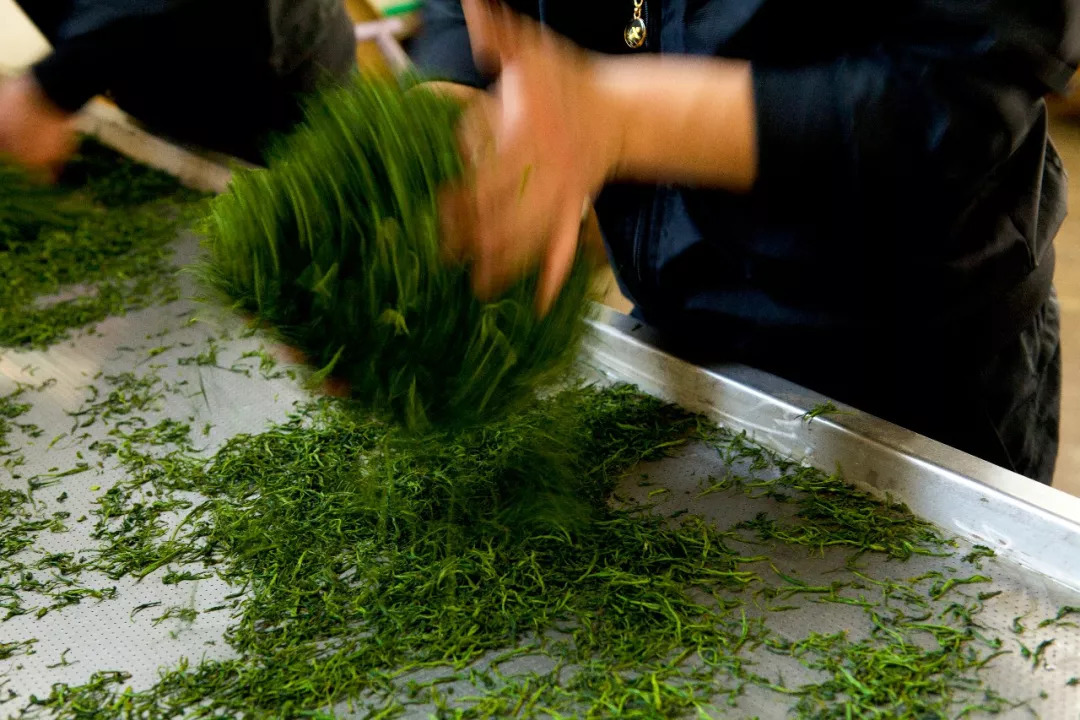 赞美恩施富硒茶(赞美茶恩施富硒茶的句子)-硒宝网