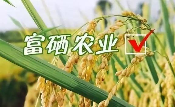 富硒茶标准检测(茶叶中硒的检测标准)-硒宝网