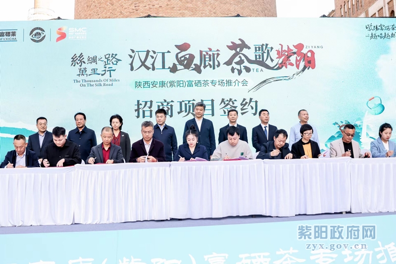 安康富硒口粮茶（安康富硒茶礼盒）-硒宝网