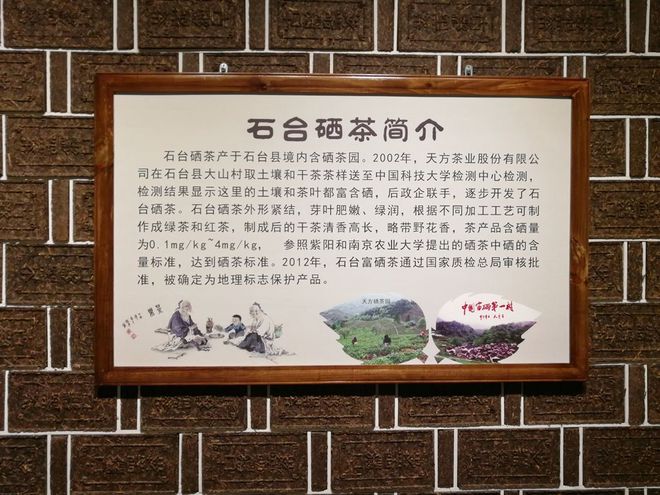 海峡富硒有机茶（富硒茶的作用与功效）-硒宝网