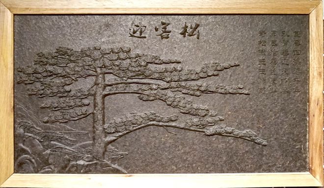 海峡富硒有机茶（富硒茶的作用与功效）-硒宝网