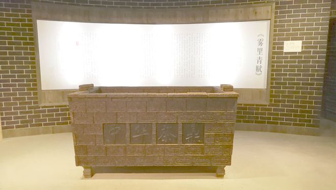 海峡富硒有机茶（富硒茶的作用与功效）-硒宝网