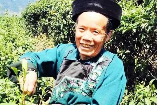 福建寿宁富硒茶（寿宁富硒大米）-硒宝网