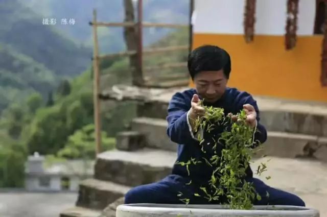 福建寿宁富硒茶（寿宁富硒大米）-硒宝网