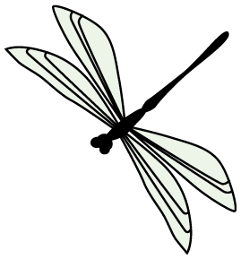 福建寿宁富硒茶（寿宁富硒大米）-硒宝网