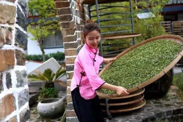 福建寿宁富硒茶（寿宁富硒大米）-硒宝网
