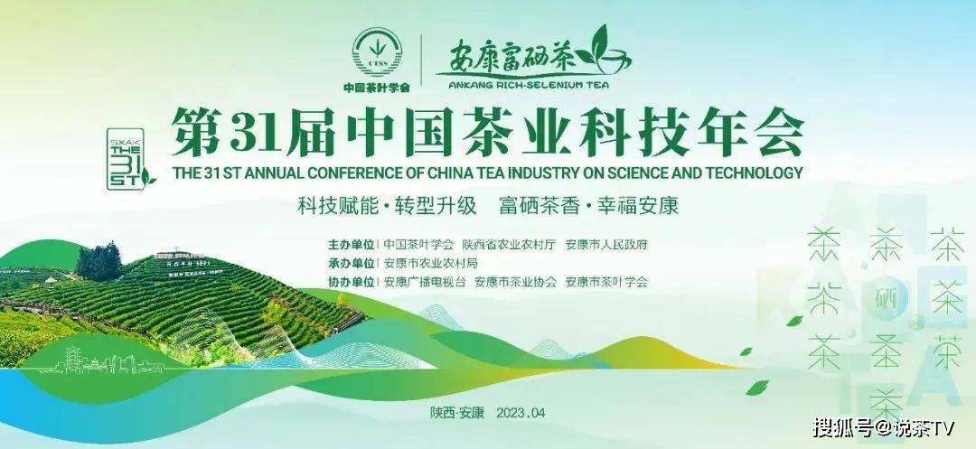 安康富硒茶拼音（安康富硒茶多少钱一斤汗水晨雾）-硒宝网