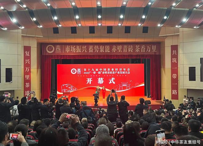 安康富硒茶拼音（安康富硒茶多少钱一斤汗水晨雾）-硒宝网