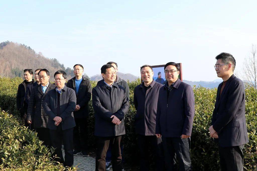 安康富硒茶直销(安康富硒茶属于什么茶)-硒宝网