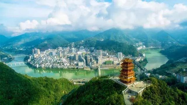 紫阳富硒茶鉴别(紫阳富硒茶是绿茶吗)-硒宝网