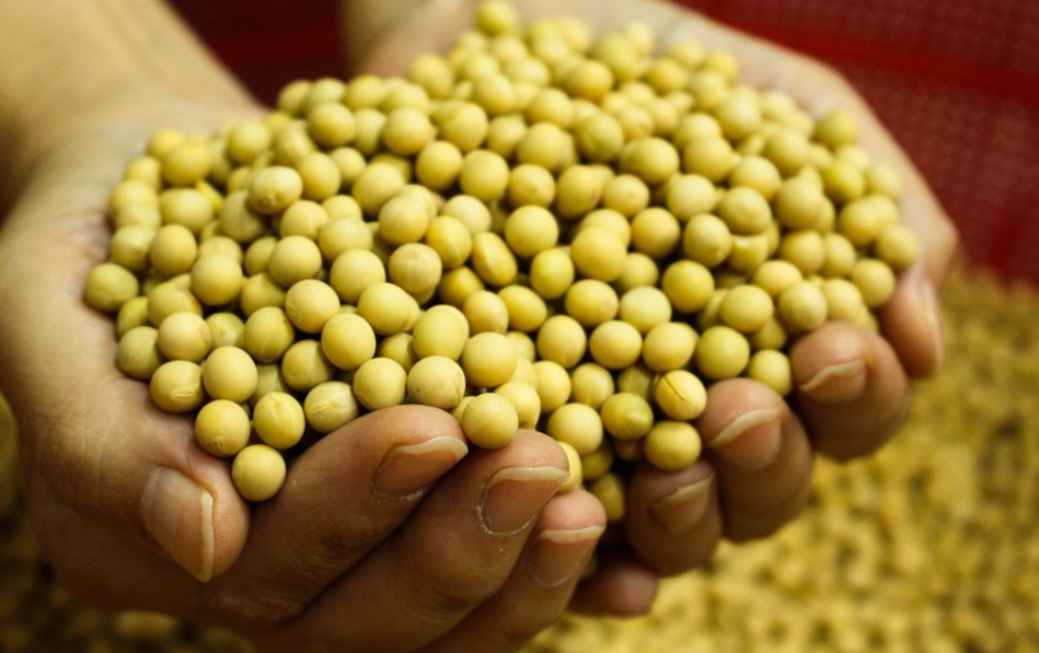 重庆富硒茶供应（重庆富硒农产品）-硒宝网