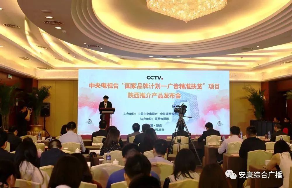 紫阳富硒茶背景(紫阳富硒茶100克价格表)-硒宝网