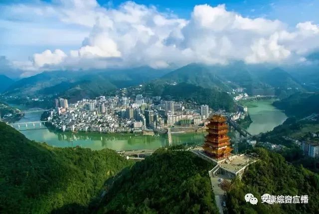 紫阳富硒茶背景(紫阳富硒茶100克价格表)-硒宝网