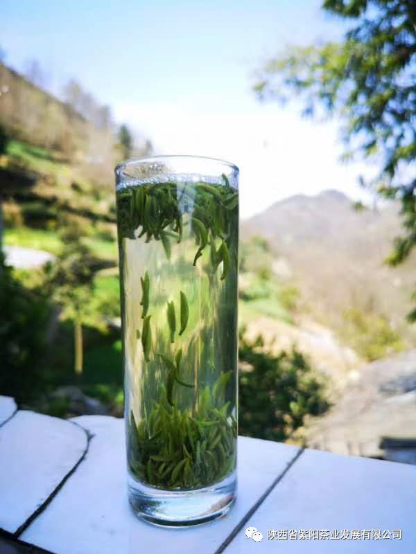 紫阳富硒茶鉴别(富硒紫阳茶多少钱一斤)-硒宝网