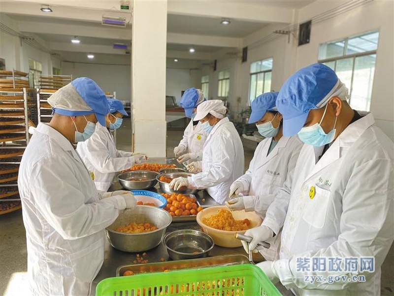 销售紫阳富硒茶（紫阳富硒茶文化）-硒宝网