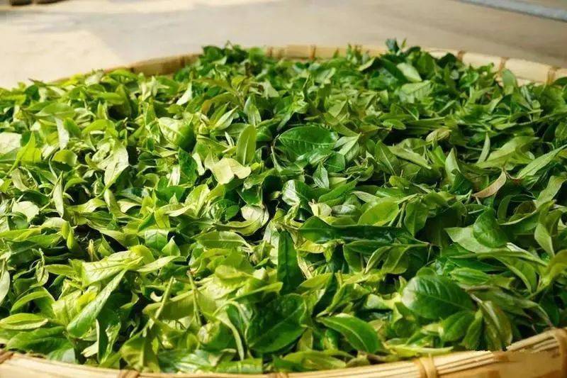 紫阳富硒茶英语(富硒茶英语怎么说)-硒宝网