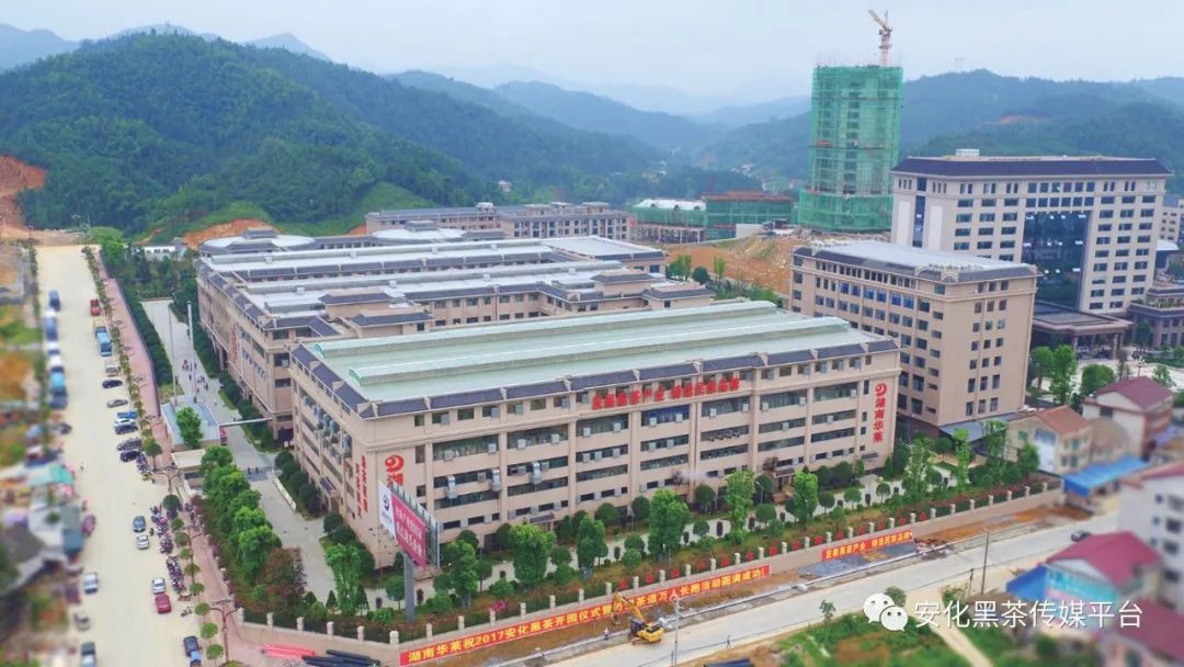 富硒茶税收调查(富硒茶与蒲公英茶)-硒宝网