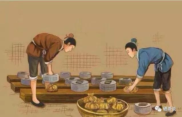 世界顶级富硒茶(最好的富硒茶是哪里产的)-硒宝网