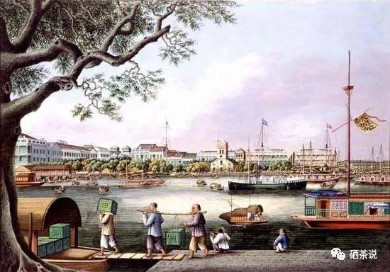 世界顶级富硒茶(最好的富硒茶是哪里产的)-硒宝网