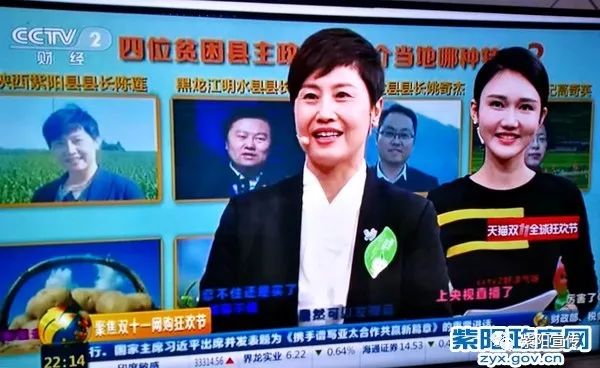 紫阳富硒茶鉴别(紫阳富硒茶怎么辨别真假)-硒宝网