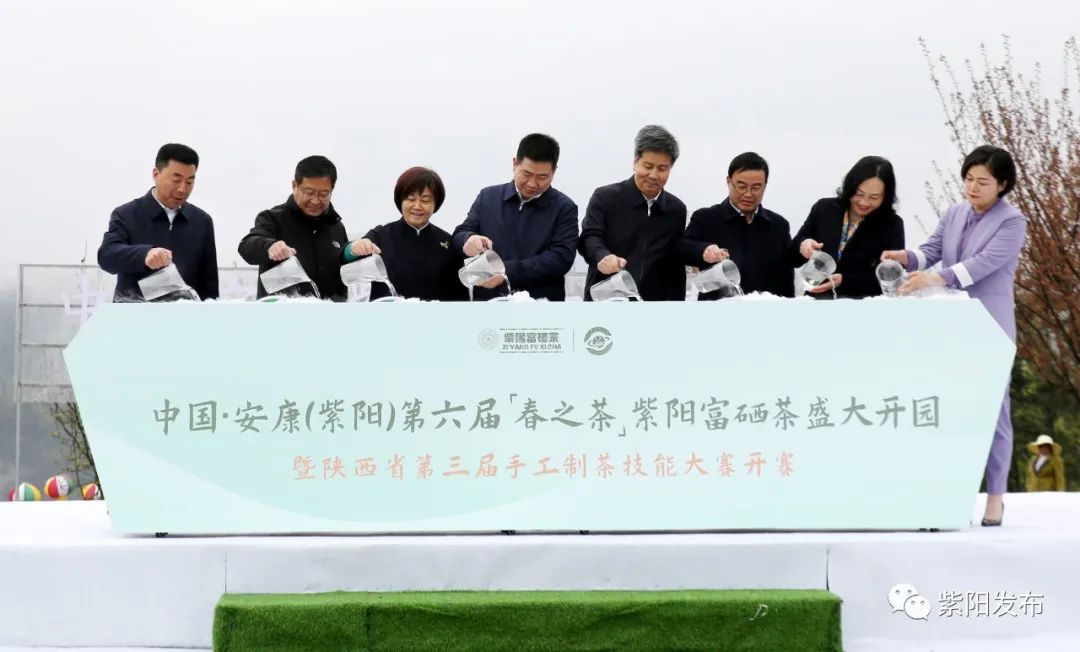 紫阳富硒茶背景（紫阳富硒茶哪个牌子好）-硒宝网