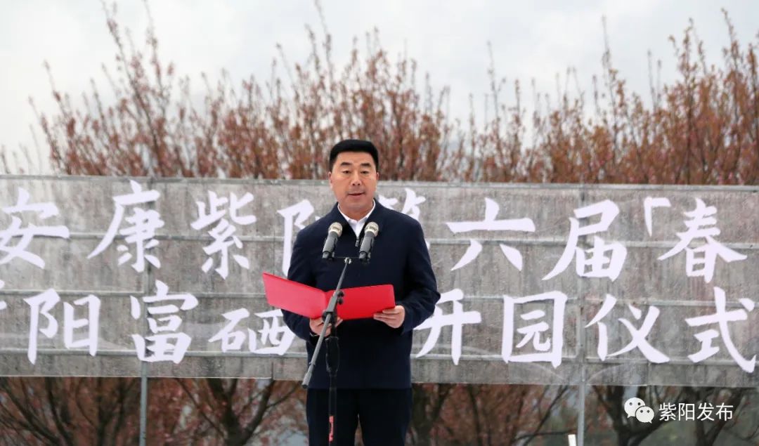 紫阳富硒茶背景（紫阳富硒茶哪个牌子好）-硒宝网